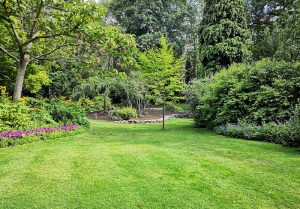 Optimiser l'expérience du jardin à Teissieres-de-Cornet